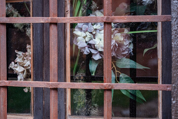 Madriguera, Sierra de Ayllón, Segovian province, Community of Castilla y León, Spain