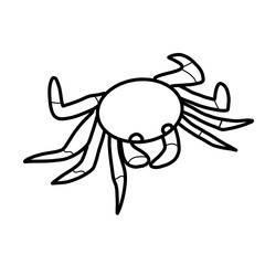 invertebrate animal natural crustaceans crab sea sand
