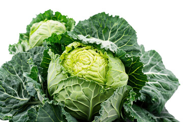 Top view. Cabbage isolated on transparent background.