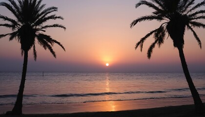 Fototapeta na wymiar Sunset on the seacoast with silhouettes of palm trees