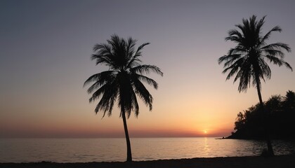 Fototapeta na wymiar Sunset on the seacoast with silhouettes of palm trees
