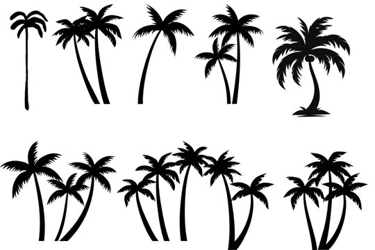 set of palm trees