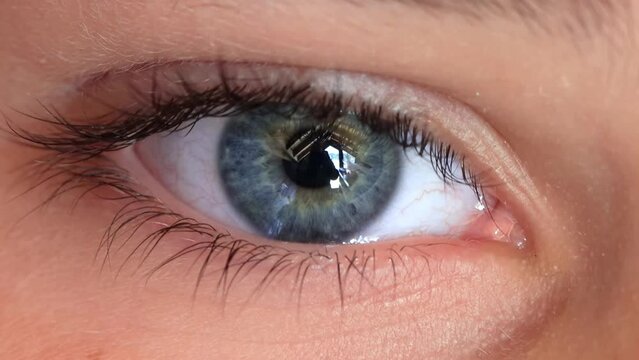 a close up of a person s blue eye with long eyelashes . High quality