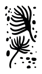 Set of leaves for engraving. Silhouettes of plants. Vector illustration. Decorative elements for postcard design. Random drops.