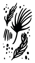 Fototapeta premium Set of leaves for engraving. Silhouettes of plants. Vector illustration. Decorative elements for postcard design. Random raindrops. Hand shading. Cartoon illustration. Wind-bent plants