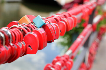 Heart shaped locks in a bridge in Colmar France