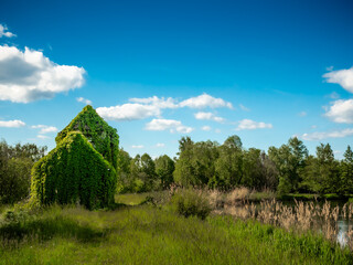 House covered in green with trees and a blue sky