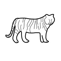 grasslands animal natural forest tiger