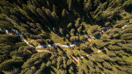 Aerial photo by drone of the Rosière lake and the forest in Courchevel in the Tarentaise valley in France