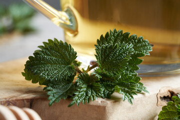 Fototapeta premium Fresh young nettle leaves with a cup of herbal tea in the background