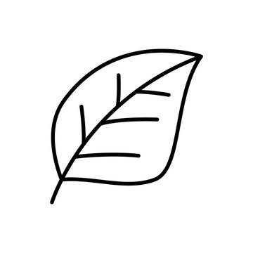 Black line leaf icons on white background
