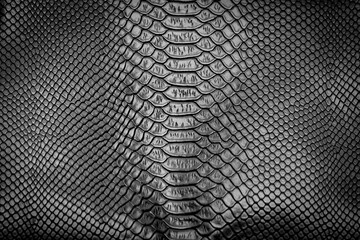 Black snake skin texture pattern can see the surface details.