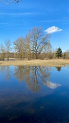 Floodwaters of the Narew River in Poland. Autumn landscape of trees by the river.