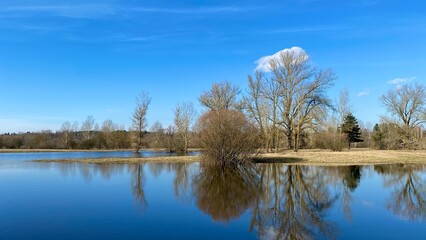 Floodwaters of the Narew River in Poland. Autumn landscape of trees by the river.