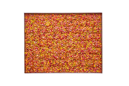 a tray of Turkish harisa baklava sweets, Topped with pistachio , isolated on a white background