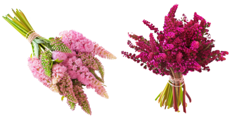 summer season flowers bouquet made with Amaranth isolated on transparent background