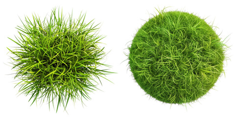 Set of Grass circle isolated on transparent background