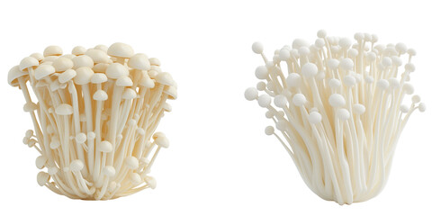 set of enoki mushroom isolated on transparent background