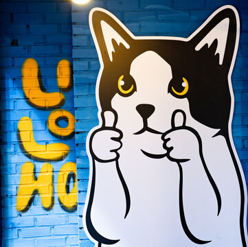 따봉 고양이