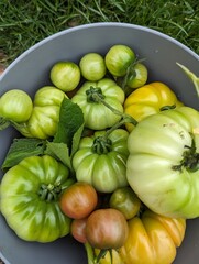 vegetables and fruits