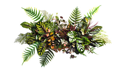 A bush made with various types of ferns, philodendron, Calathea peacock plant, and Ti plant isolated on transparent background