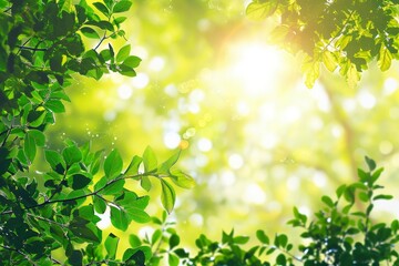 木漏れ日背景新緑葉のフレーム, Generative AI