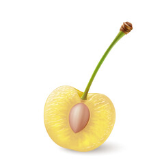 A single yellow cherry on its stem, cut in half with the pit exposed, illustration on a white background - 745823945