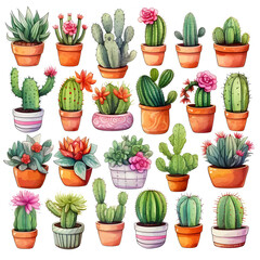 a bunch of cactus plants in pots on a white background