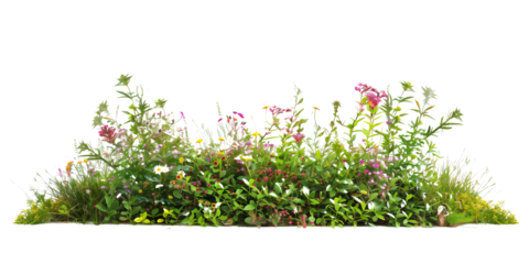 a bush made with grass and wildflowers isolated on transparent background
