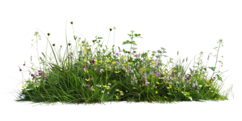 a bush made with grass and wildflowers isolated on transparent background