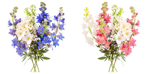 summer season flowers bouquet made with  Larkspur , isolated on transparent background
