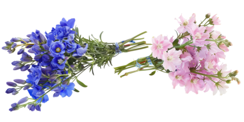 summer season flowers bouquet made with  Larkspur , isolated on transparent background
