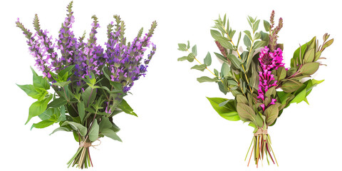 summer season flowers bouquet made with  Salvias, isolated on transparent background