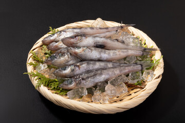 ［宮城県産］メヒカリ