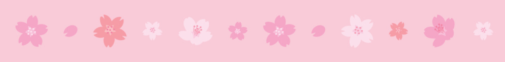 Fototapeta premium 桜の花びらが舞う背景