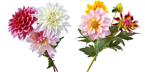 flowers bouquet made with Dahlias, isolated on transparent background