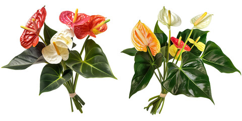 bouquet of anthurium with flowers, isolated on transparent background - obrazy, fototapety, plakaty