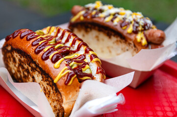 a snack in the park. Two delicious hot dogs from the food truck. delicious toasted slices of bread and sausage flavored with ketchup and mustard