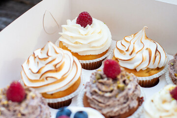 Assorted cupcakes in gift box with chocolate, vanilla and oreo cream, whipped meringue, raspberry, blueberry and bites of chocolate