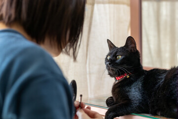 化粧にあこがれる黒猫