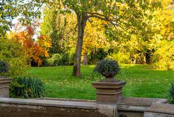 A tree overlooks a stone wall in a park, surrounded by natural landscape