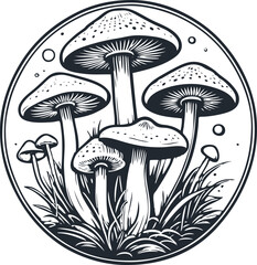 Bunch of mushrooms, vector illustration - 745838750