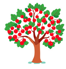 Fototapeta premium apple tree with flowers