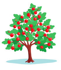 Fototapeta premium tree with red apples