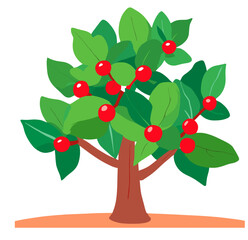 red apple tree with apples