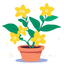 flower in a pot