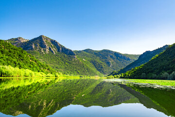 Beautiful views of the Skadar lake in the national park in Montenegro.