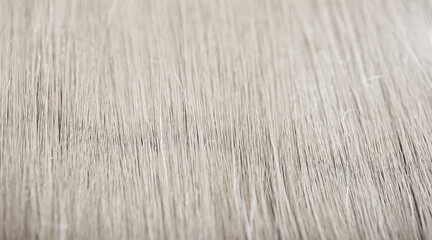 Blond hair close-up as a background. Women's long blonde hair. Beautifully styled wavy shiny curls. Hair coloring. Hairdressing procedures, extension. White hair