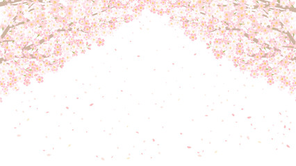 満開の桜の背景フレーム cherryblossom background - obrazy, fototapety, plakaty