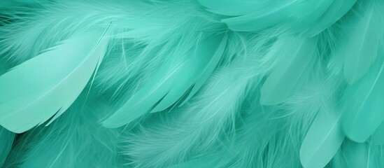 Beautiful soft green turquoise feather texture background. Animal hair concept. - obrazy, fototapety, plakaty